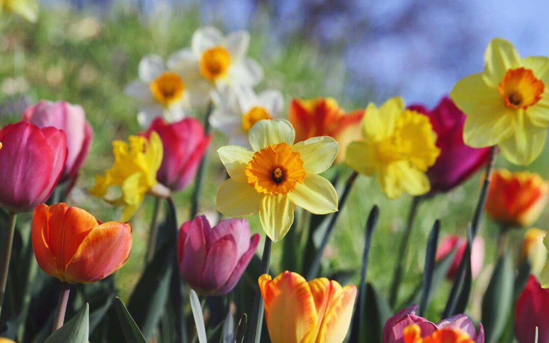 How to Know If You Need Braces